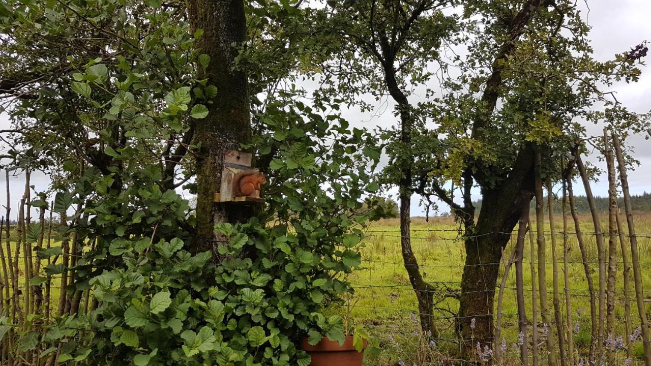 Cosy Cottage On The Causeway Coast And Glens Ballycastle Esterno foto